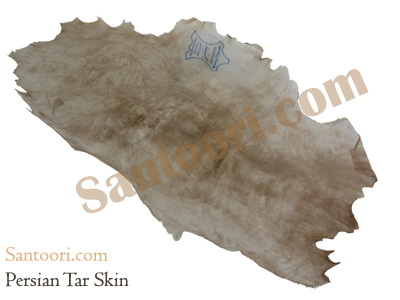 Persian Tar Skin for Sale | Iranian Tar Skin for Sale | Puste Tar for sale